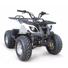 Mini atv Wth EPA 110CC Madix-2 EPA